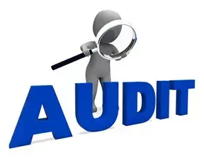 Audit8